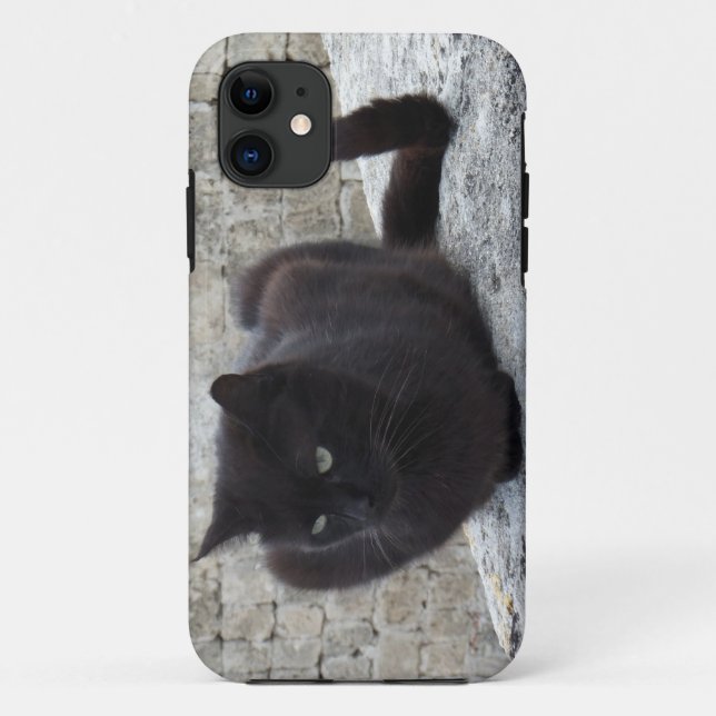 Black Cat iPhone 5 Ehegatte Case-Mate iPhone Hülle (Rückseite)