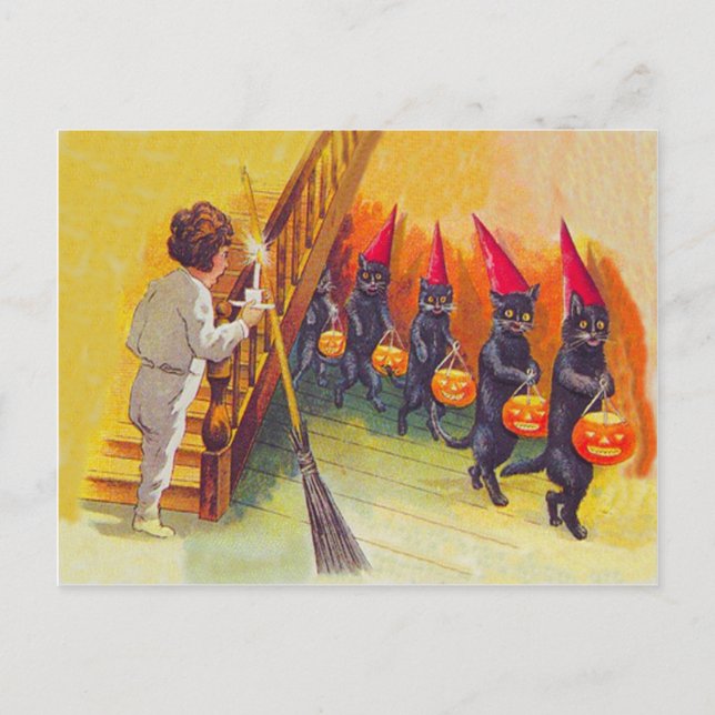 Black Cat Jack O Lanter Pumpkin Broom Postkarte (Vorderseite)