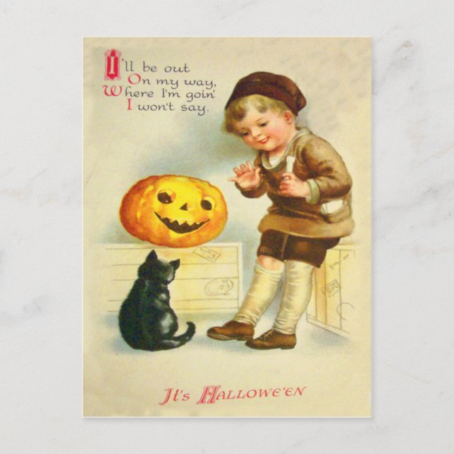 Black Cat Jack O Lanter Pumpkin Girl Postkarte (Vorderseite)