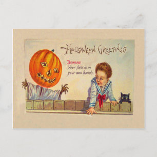 Black Cat Jack O Lanter Pumpkin Scarecrow Postkarte