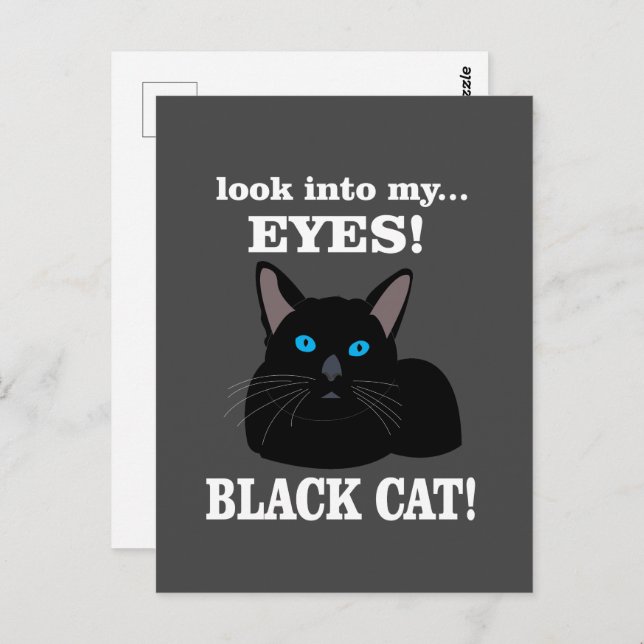 Black Cat Kitty Animal Lover Black Cat Postkarte (Vorne/Hinten)
