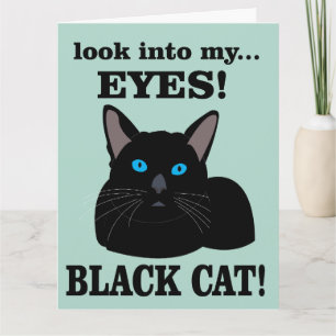Black Cat Kitty Birthday Black Cat Karte