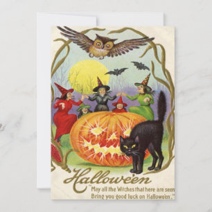 Black Cat Kürbislaterne Pumpkin Hexe Vollmond