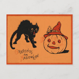 Black Cat Kürbislaterne Pumpkin Hexe's Hat Postkarte
