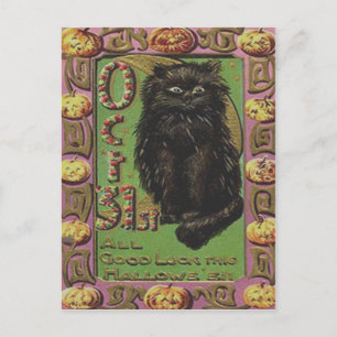 Black Cat Kürbislaterne Pumpkin Postkarte
