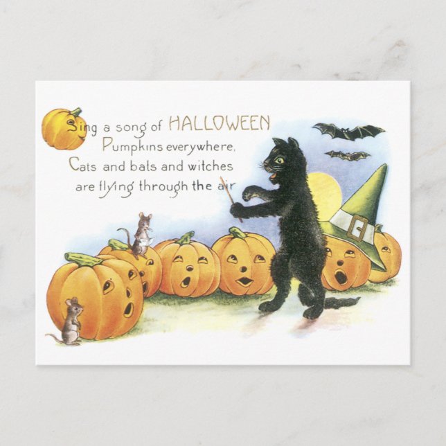Black Cat Leading Jack O' Lantern Halloween Chor Postkarte (Vorderseite)