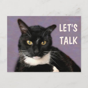 Black Cat Let's Talk Postkarte