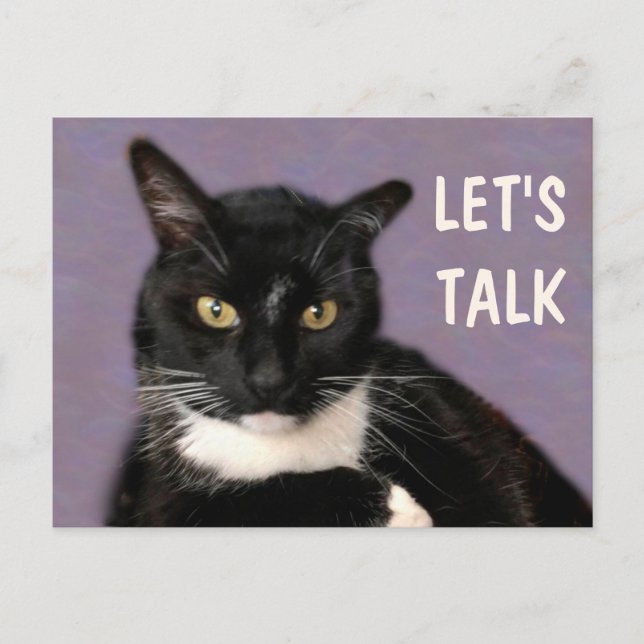 Black Cat Let's Talk Postkarte (Vorderseite)