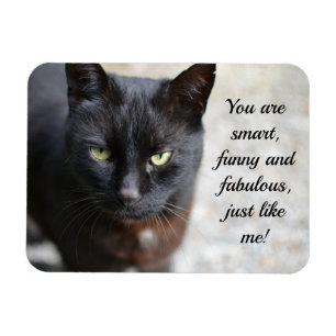 Black Cat Lover Image with Motivational Quote Magnet