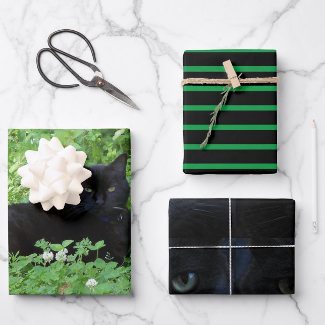 Black Cat Lovers Gift oder Handwerk Geschenkpapier Set (Vorderseite)