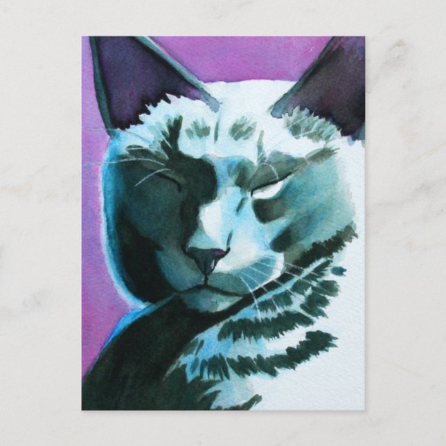 Black Cat Marina Regal Postkarte (Vorderseite)