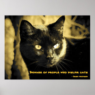 Black Cat Meme mit irischem Sprichwort Poster