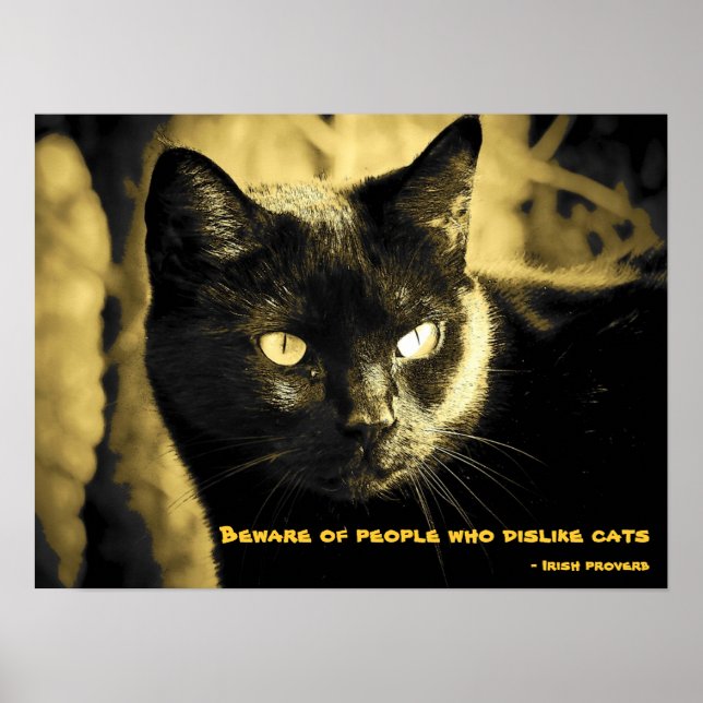 Black Cat Meme mit irischem Sprichwort Poster (Vorne)