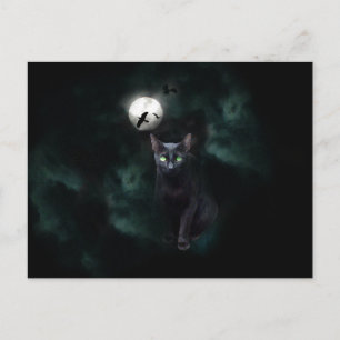 Black Cat Moon Postcard Postkarte