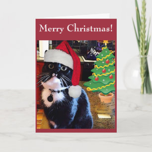 Black Cat "O Christmas Tree" Card Feiertagskarte