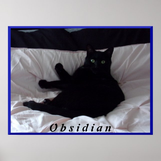 Black Cat "Obsidian Poster" Poster (Vorne)
