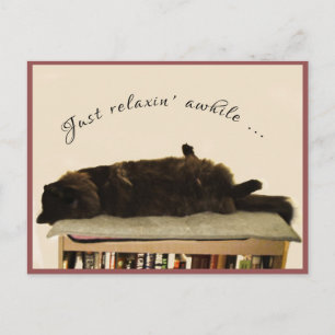 Black Cat on Vacation Postkarte