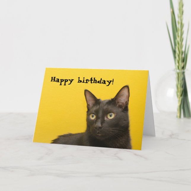 Black Cat on Yellow Birthday Karte (Vorderseite)