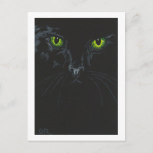 Black Cat Postcard Postkarte