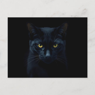 Black Cat Postkarte