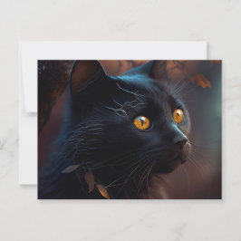Black-Cat-Postkarten Postkarte