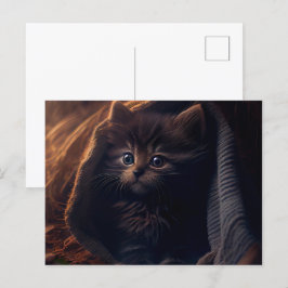 Black-Cat-Postkarten Postkarte