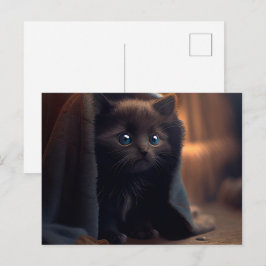 Black-Cat-Postkarten Postkarte