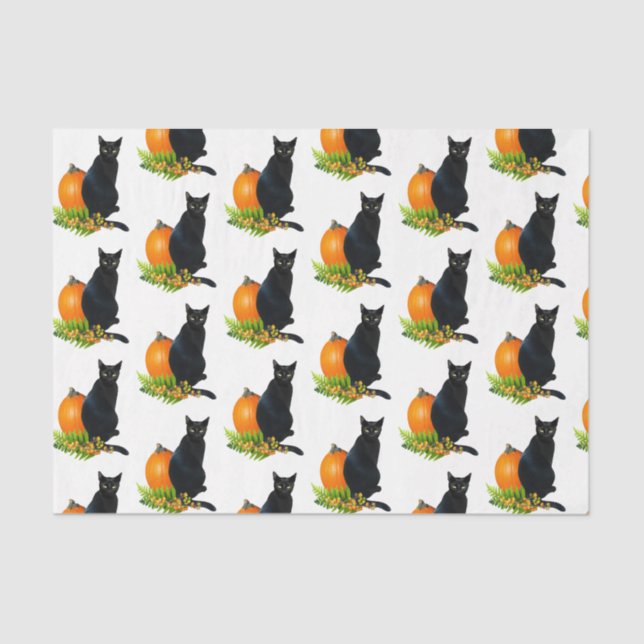 Black Cat Pumpkin Ferns Tissue Paper Seidenpapier (Vorderseite)