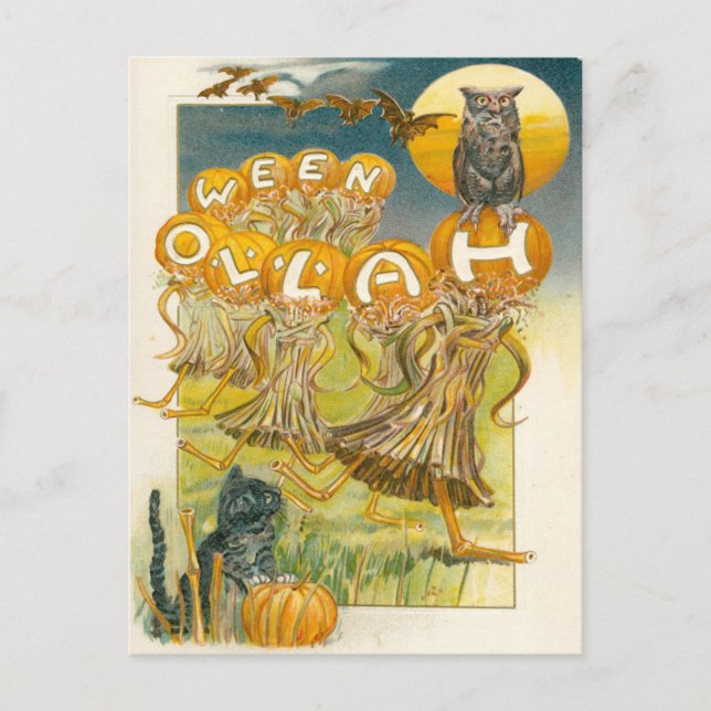 Black Cat Pumpkin Owl Bat Moon Postkarte (Vorderseite)