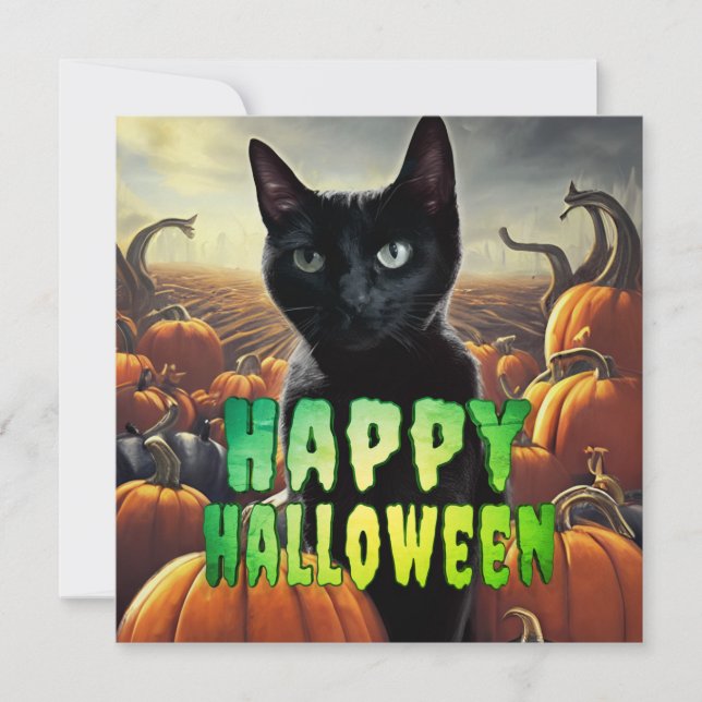 Black Cat & Pumpkins (Vorderseite)