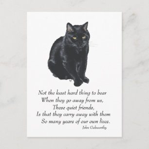 Black Cat Rainbow Bridge Postkarte