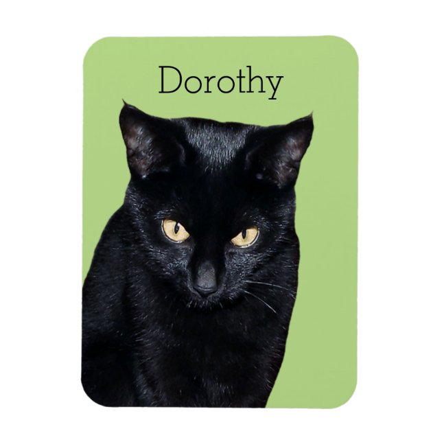 Black Cat Real Foto Küche Kühlschrankmagnet Magnet (Vertikal)