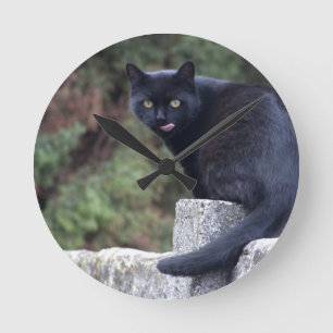 Black Cat Runde Wanduhr