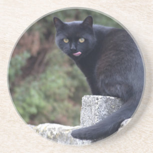 Black Cat Sandstein Untersetzer