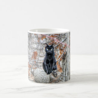 Black Cat Sitting Outdoors Kaffeetasse
