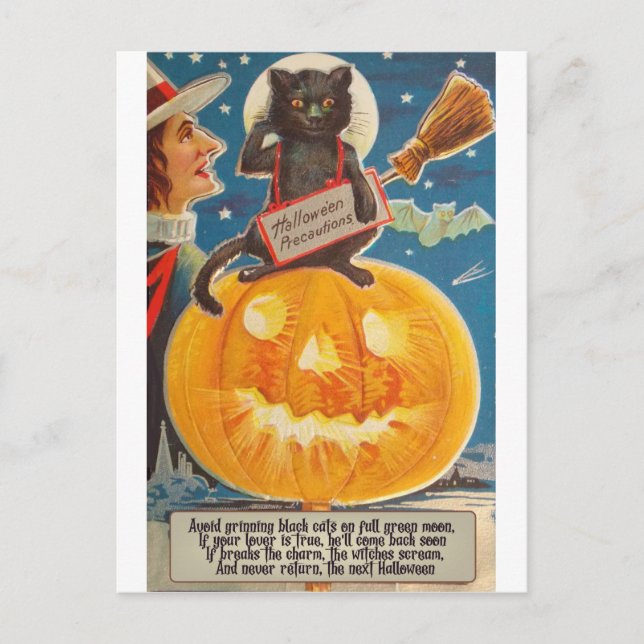 Black Cat sitzt auf Big Bright Pumpkin, Funny Postkarte (Vorderseite)