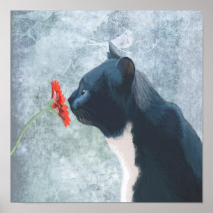 Black Cat Sniffing Blume Poster