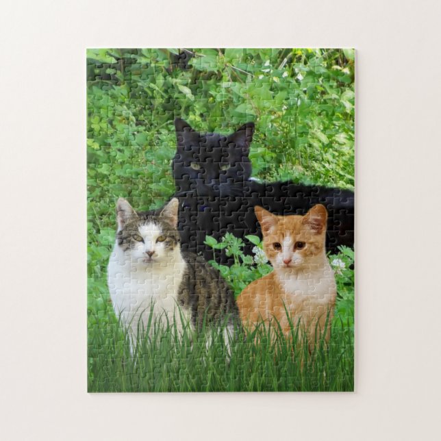 Black Cat Tabby Cat Fun Cats Katzen im Garten Puzzle (Vertikal)