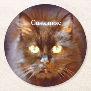 Black Cat Thunder_Cove Runder Pappuntersetzer