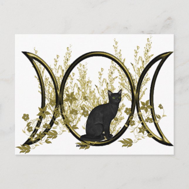 Black Cat Triple Moon Symbol Postkarte (Vorderseite)