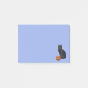 Black Cat und Orange Pumpkin Fotos Light Blue Post-it Klebezettel