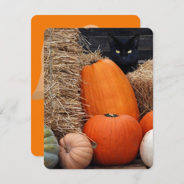 Black Cat und Pumpkins Halloween-Party Einladung (Vorne/Hinten)