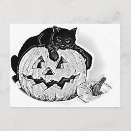 Black Cat und Spooky Pumpkin Halloween Postkarte