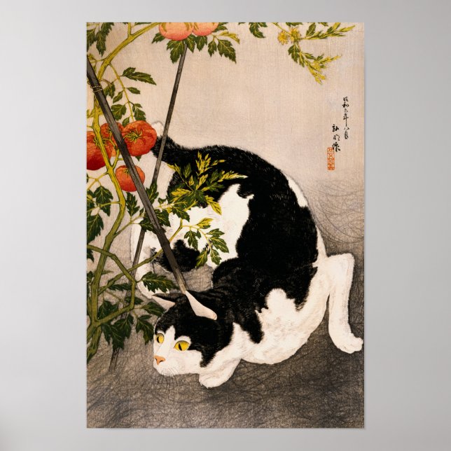 Black Cat und Tomato Pflanze von Takahashi Hiroaki Poster (Vorne)