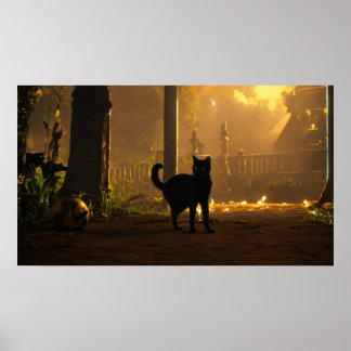 Black Cat Watercolor Wall Poster