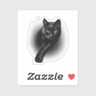 Black Cat Yellow Eyes T - Shirt Cats T-Shirt Aufkleber