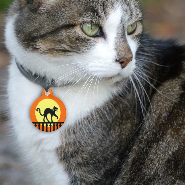 Black Cat Yellow Moon Zaun Haustiermarke (Black cat green eyes on fence full moon on orange pet name tag.)