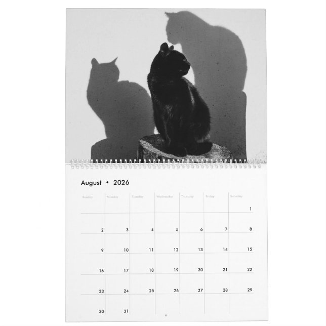 Black Cats & Kittens Niedlich Kitty Cat 2020 Kalender (Aug 2026)