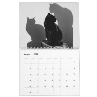 Black Cats & Kittens Niedlich Kitty Cat 2020 Kalender