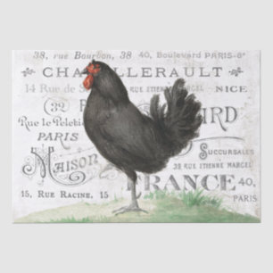 Black Chicken Hen Französisch Stadt Name Paris Dec Seidenpapier